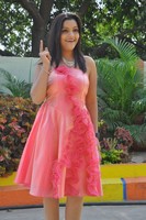 Padmini Gallery